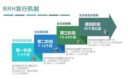 MON:BRH发行机制概述 八年之后全部产出_区块链技术就业前景
