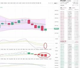 BTC:磊哥说币：1.20晚间分析_OBS
