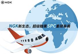 SPC:同样是NGK官方推出的代币,SPC与BGV有何异同？_BGV