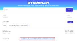 BTC:一文了解 BTCDomain：比特币上的域名项目_DIN