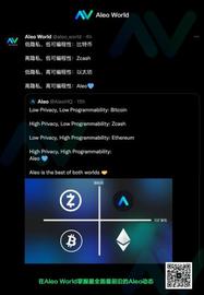 ALEO:ZK 赛道融资最大的项目 Aleo 研究报告_区块链的几个大局
