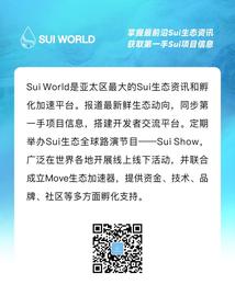 COI:SUI 为什么没上币安（Launchpad）?_COIN