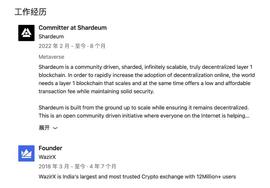 HARD:深挖估值 2 亿美元的新公链 Shardeum：WazirX 联合创始人“新瓶装旧酒”_rushAI币