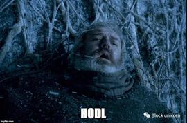 HODL:BitMEX创始人：模因是加密文化基石的一部分_HOD价格
