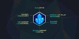 GUILD:Hashed：为什么我们要投资Web3游戏社区GuildFi？_guildfi币2023最新利好
