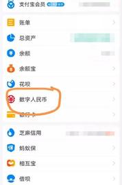 数字钱包:支付宝“上马”数字人民币支付，可支持用户间转账_元宇宙app下载链接