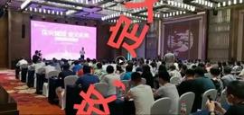 AYS:花火崩盘记:资金盘何以成为信仰_国内区块链公司前十排名