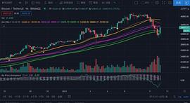 比特币价格:1月12日比特币行情：底部可能在这里_globalusdtoken