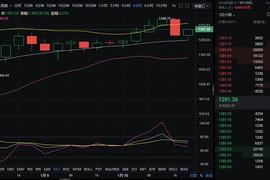 300:1.10   比特币行情分析及操作策略_1inch币能涨到3000吗