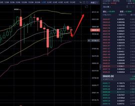 BTC:1.8 BTC晚间行情以规划_BTC最新消息