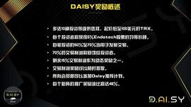 DAI:Daisy智能合约——雏菊的神话从现在开始？_PPT