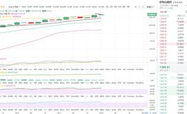USD:　　谈币财经：2021年1月8日凌晨以太坊行情分析与操作策略_StarbaseUniverse