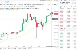 比特币:阳诚谈币：1-6夜间比特币情分析_REFI