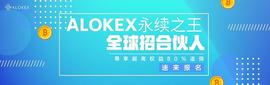 FUN:2021年ALOKEX永续合约概要_okex