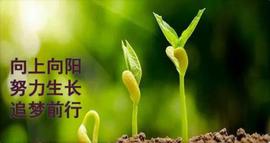 ETH:金圣来解币：12月27日行情分析：一个17万多比特币泡沫为何能越吹越大？_如何把泰达币换成比特币