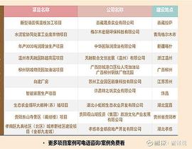 以太坊:大连代写规划报告指导公司2021商业计划书智库大连拓海文化_ELON币前景
