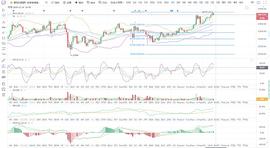 BTC:BTC/ETH 比特币拒绝回调 再次上攻25000 12.26_520