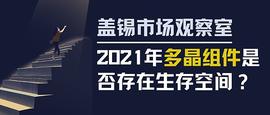 AIR:盖锡市场观察室丨2021年多晶组件是否存在生存空间？_LAIKA价格