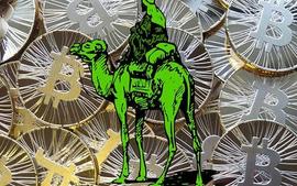 BTC:邺峰论币：比特币行情再度迎来千点反弹之势_300