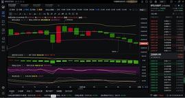 MAC:12.24 比特币早间简评_300