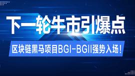 数字货币:下一轮牛市引爆点 | 区块链黑马项目BGI-BGII强势入场_中国交易数字货币违法吗