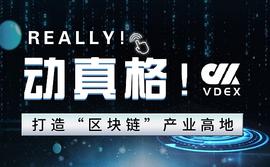 数字货币:投资VC,成为投资组合中的价值储存手段_加密货币是干什么用的