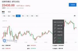 数字货币:比特币突破 2万4涨幅达233% 牛市行情随时暴跌该如何逃顶_marvin币和马斯克关系