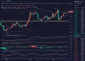 EGY:12.21 越过2万关口 BTC持续拉升 后劲还足吗_CRO