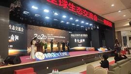 KEX:HKEx Club南阳俱乐部开业盛典暨HKEx.one全球生态交流会聚力·南阳圆满举办_EXCL