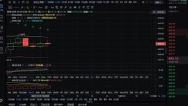 MAC:张周龙 12.18 午间 以太坊和BTC  行情分析与操作策略_300