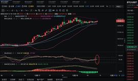 SDT:张公解币：12.18   BTC午间行情分析_USDT