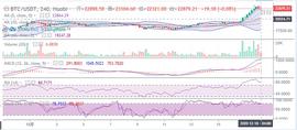 ZEC:币圈王哥：比特币空方转强 行情落至22800一线震荡_LBTC价格