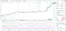 300:比特币刘先生： 比特币行情走势分析_3000代币多少钱