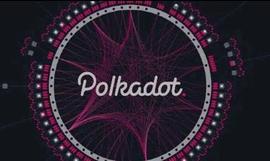 DOT:熊猫人行情：波卡中的四种角色_polkawallet切换astar