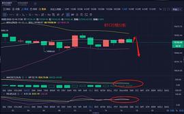 MAC:币圈行情策略师：12.14晚间行情分析以及操作策略_300