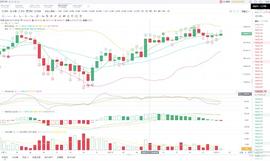 BTC:胖哥说币：12.13BTC夜间行情分析_USDT