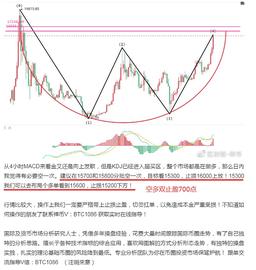比特币:禅币:比特币愈演愈烈,日内多空斩获700点利润!_杭州女子花300万买比特币