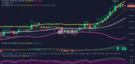 BTC:严哥说币：比特币冲高受阻,谨防回落,11.6比特币以太坊行情分析_520