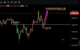 比特币:币圈教王午间策略止盈提示_狗狗币能涨到300美元吗