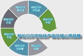BTC:呼伦贝尔市大手笔打造“叫得响”的农牧林产品区域公用品牌_为什么LBTC币暴跌