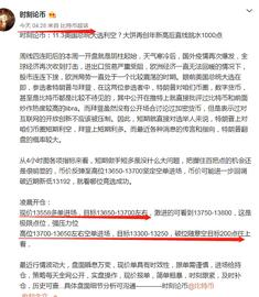 300:时刻论币：11.3凌晨大饼策略走出近五百点.后续思路如何进场_luna币做空挣了1300万的女