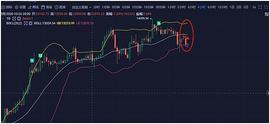 PAL:如何掌握行情走势_比特币