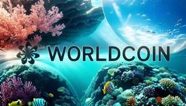 MINT:被疯狂 FOMO 的 Worldcoin 代币，多签合约 Owner 竟只有一人？_INT