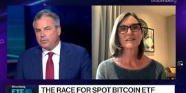 ETF:女股神：SEC将批准多个比特币现货ETF，关键时间就在灰度胜诉后_INFINITYDOGE