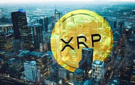 BTC:谨防 XRP 价格的鲸鱼！11亿XRP会开启牛市反弹吗？_比特币是什么时候开始暴涨的