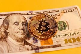 ACK:Coinbase 宣布与富达等比特币 ETF 合作进行监控—以下是最新消息_Moon Sack