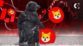 SHI:SHIB在关键水平上的回调有所缓解——它会持续下去吗？_TIM
