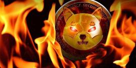 AMP:每周价格飙升 15% 后，SHIB 销毁率上涨 502%_ARI
