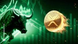 PPL:崛起社区：瑞波币（XRP）的交易量大幅飙升，看涨势头强劲！_加密货币