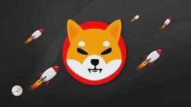 BAR:Shiba Inu (SHIB) 价格可能会随着 6 月 Shibarium 的推出而飙升_shib2.0币最新消息